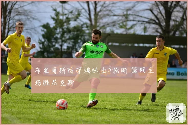 布里奇斯防守端送出5抢断 篮网主场胜尼克斯