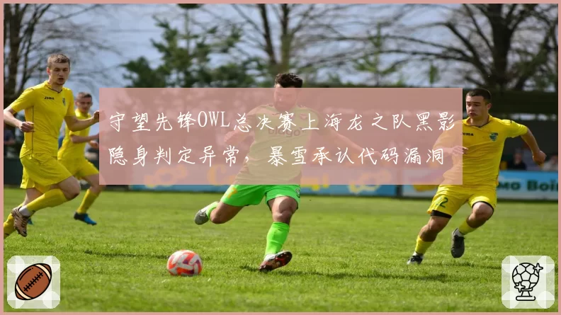 守望先锋OWL总决赛上海龙之队黑影隐身判定异常，暴雪承认代码漏洞但拒绝重赛