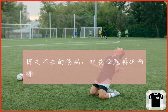 挥之不去的伤病,申花亚冠再折两将