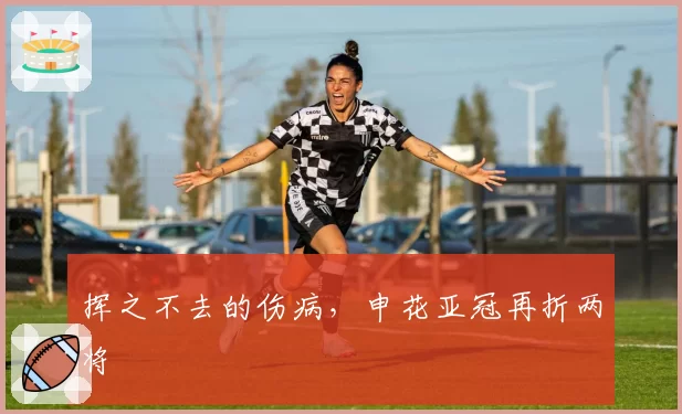 挥之不去的伤病,申花亚冠再折两将